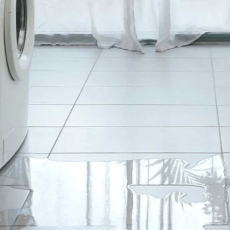 Appliance Leak Cleanup in Valrico, FL