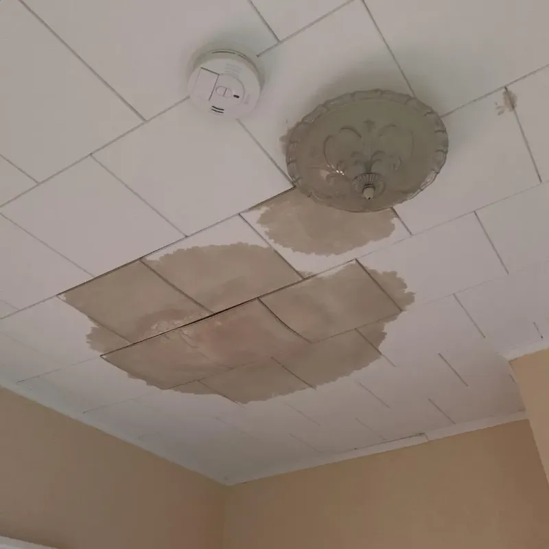 Ceiling Water Damage Repair in Valrico, FL